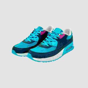 Perfect Gym Shoe