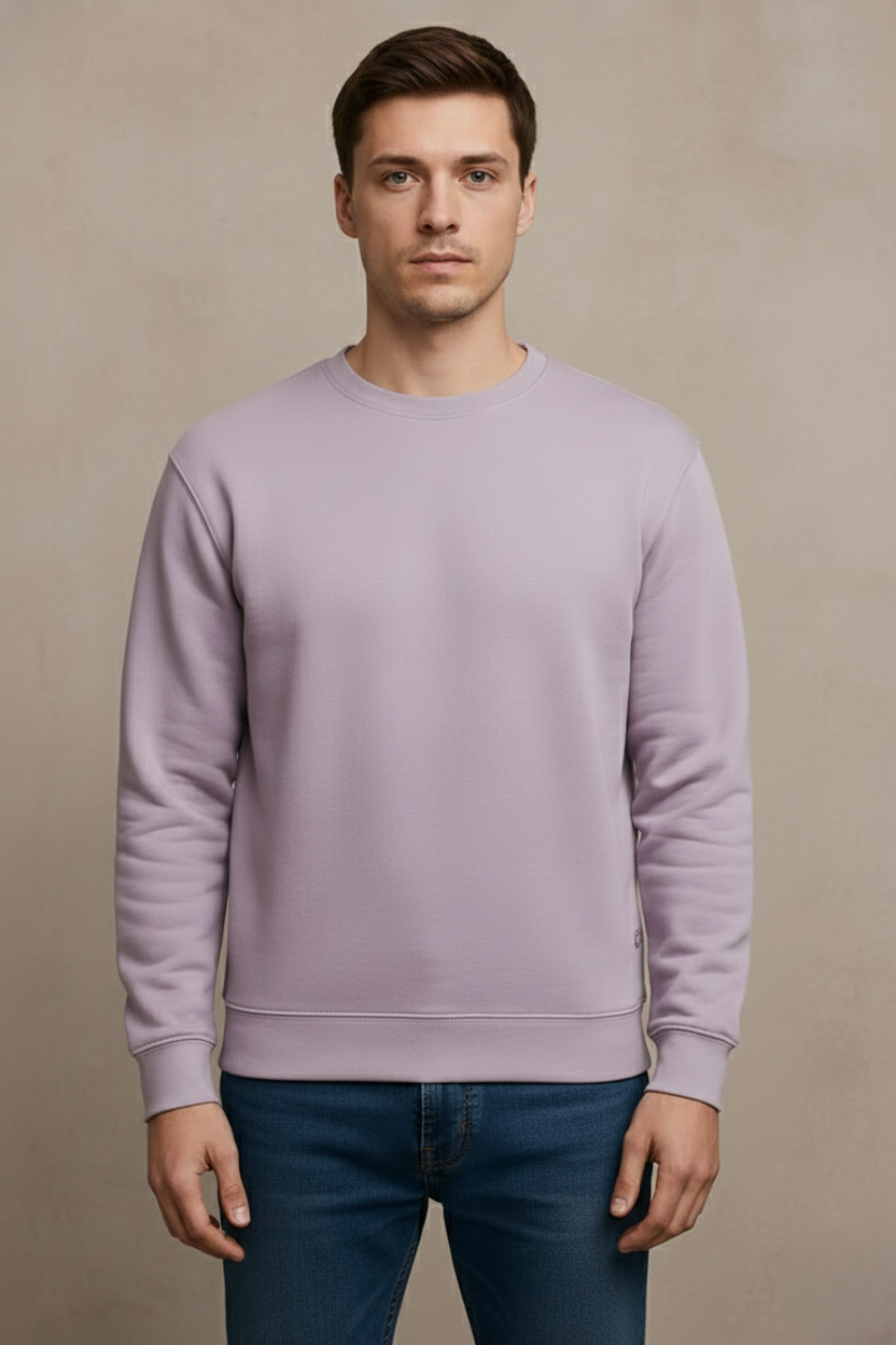 L6 (1) Lilac sweatshirt men front
